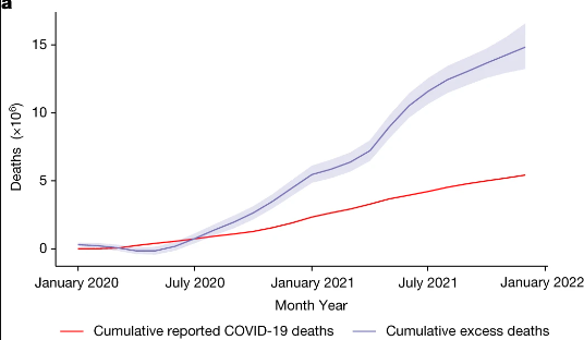 Cumulative reported COVID-19 deaths and cumulative excess deaths